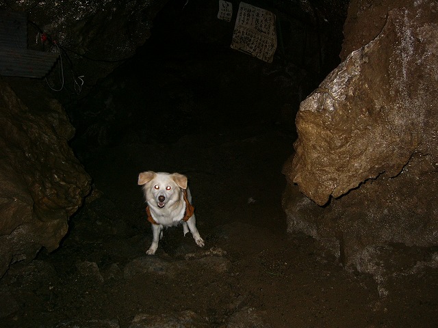 a0032004_20321979.jpg