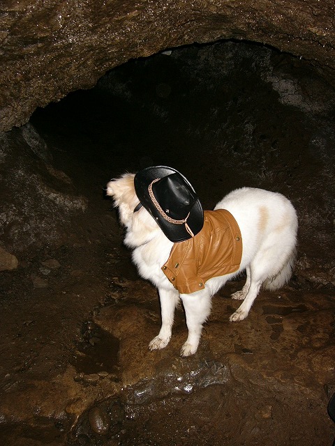 a0032004_20345576.jpg