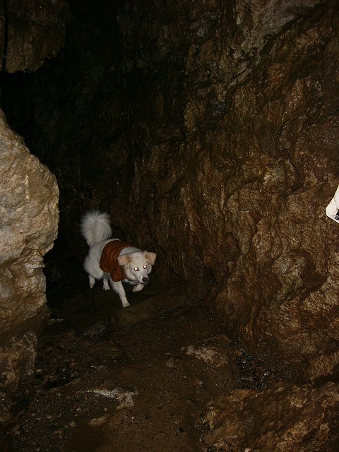 a0032004_2036036.jpg