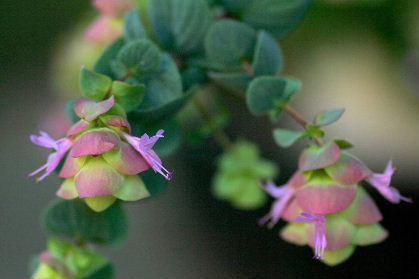 f0041606_20454361.jpg