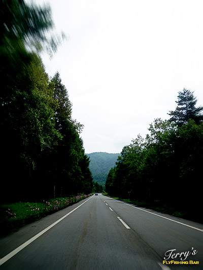 e0009009_19541439.jpg