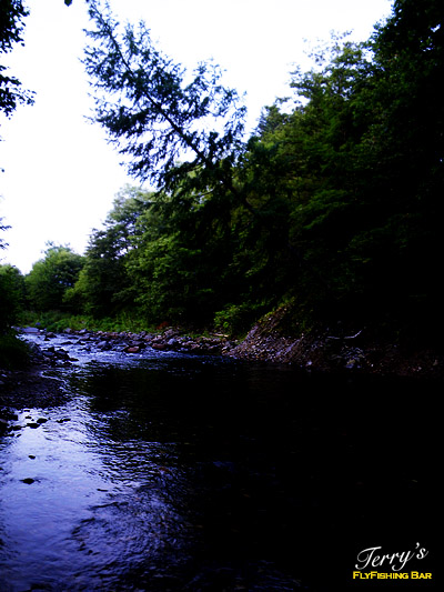 e0009009_20441386.jpg
