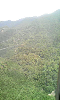 d0071710_1758032.jpg