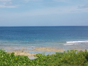e0071811_21504783.jpg