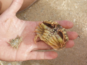 e0071811_21514514.jpg
