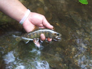 f0079411_20141234.jpg