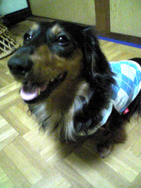 a0034113_13433952.jpg