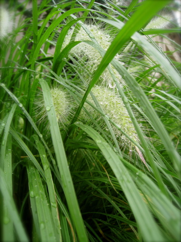 c0120817_20113898.jpg