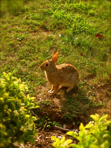 c0120817_20142765.jpg