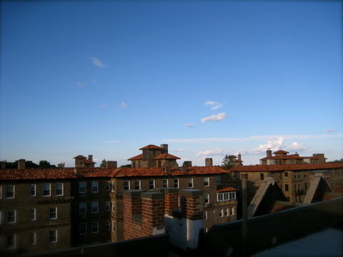 c0120817_20262411.jpg