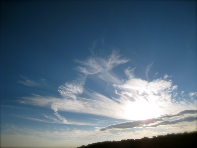 c0120817_20345734.jpg