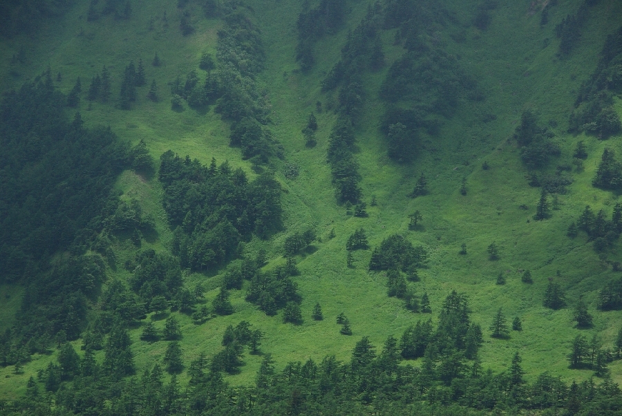 b0062024_6585168.jpg