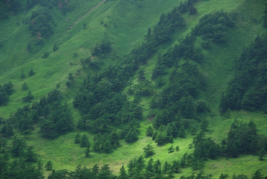 b0062024_659367.jpg