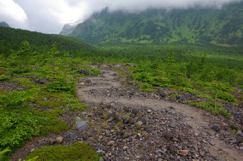 b0062024_71150.jpg