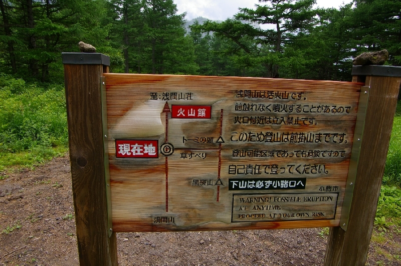 b0062024_73344.jpg