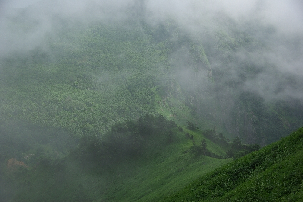 b0062024_742441.jpg