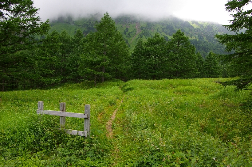 b0062024_745241.jpg