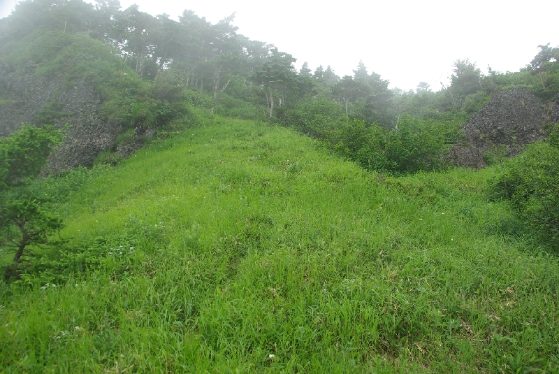 b0062024_7504093.jpg