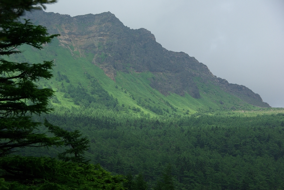 b0062024_77526.jpg