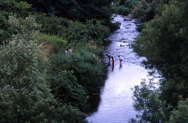 a0046429_1951361.jpg
