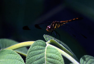 a0046429_195543.jpg