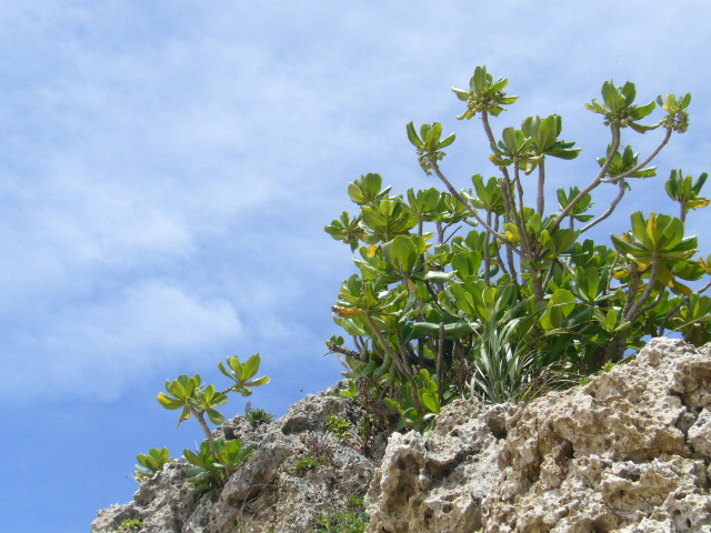f0023329_1058417.jpg