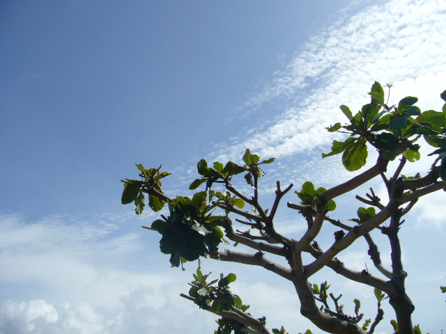 f0023329_11245968.jpg