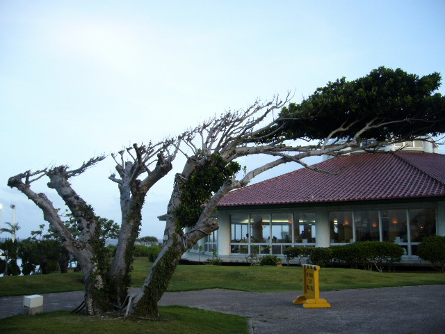 f0023329_11263986.jpg