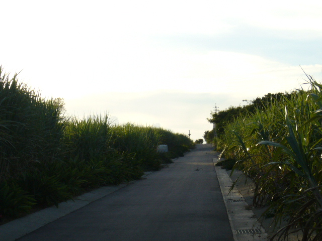 f0023329_11403424.jpg