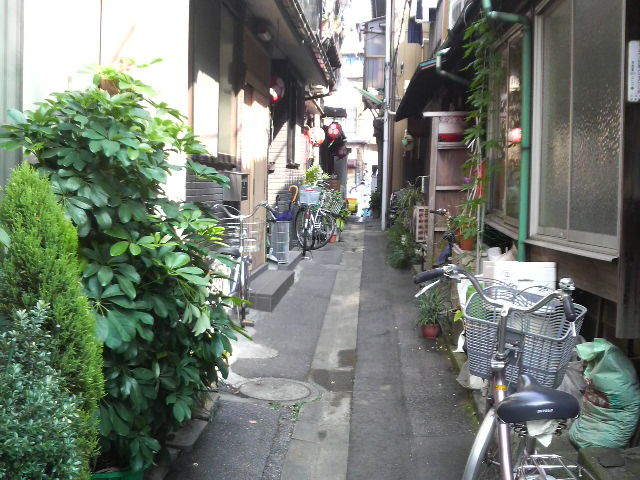 b0019140_156790.jpg