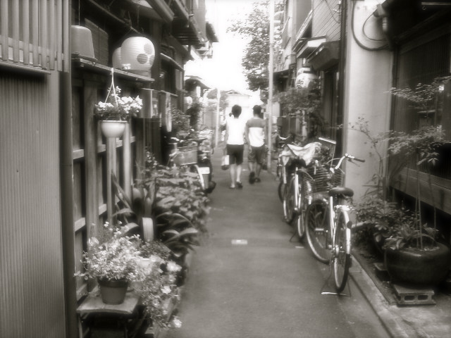 b0019140_158595.jpg