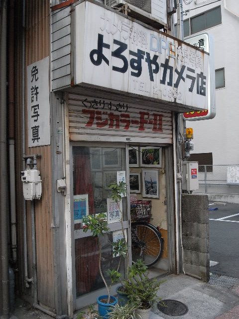 a0087341_056347.jpg