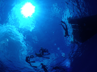 d0065247_2243282.jpg