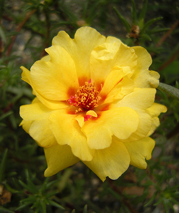 a0001354_205457100.jpg