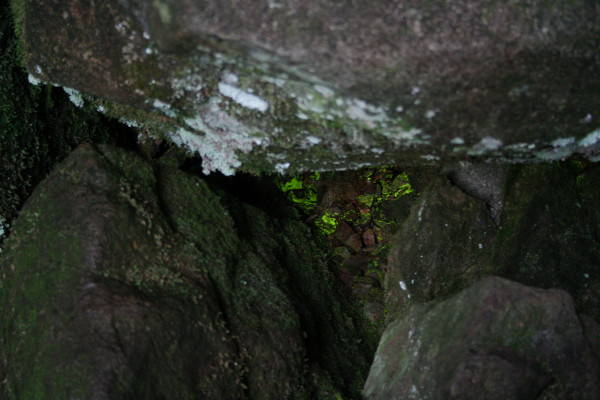 b0092958_2062029.jpg