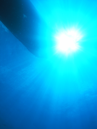 b0062363_12204454.jpg