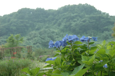 c0050264_10311558.jpg