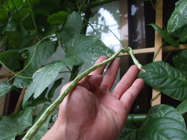 c0138868_2022251.jpg