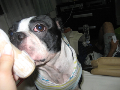 c0092787_17512044.jpg