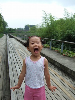 a0079990_1424428.jpg