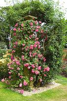 f0127098_4112331.jpg