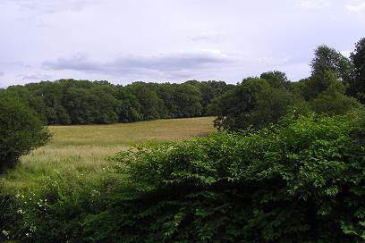 f0127098_4232087.jpg