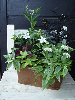 c0129702_0305653.gif