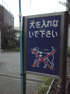 d0070702_2257936.jpg