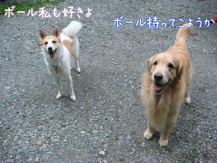f0064906_17511564.jpg