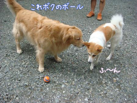 f0064906_1751262.jpg
