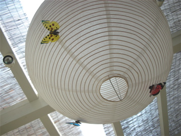 c0145209_081797.jpg