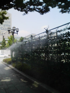 d0111714_1214362.jpg