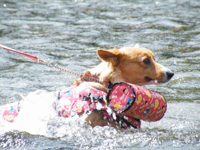 c0127617_20541878.jpg