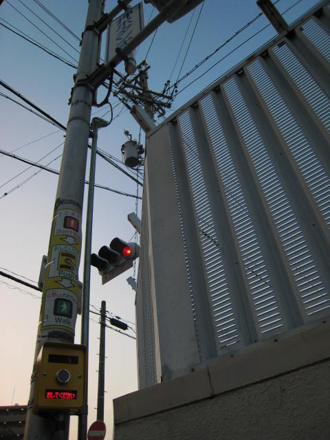 b0025419_1395435.jpg